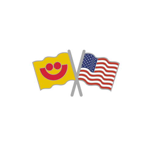 Picture of Flag Pin