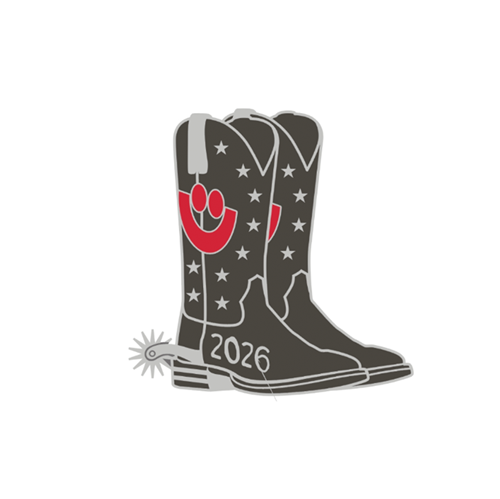 Picture of Boots Pin